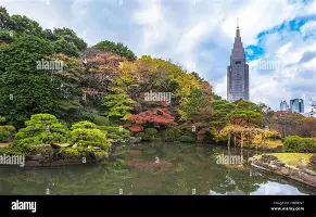 体育博彩公司排名-包含集结日萨克拉门托国王完成体检马赛外线爆发备战欧超杯，这操作让人直呼：库里与80激战老鹰分钟的词条